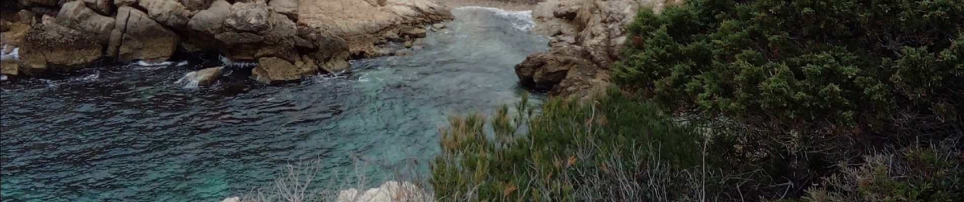 Trail Walking Saint-Cyr-sur-Mer - Boucle Calanques du port D'Along Bando - Photo