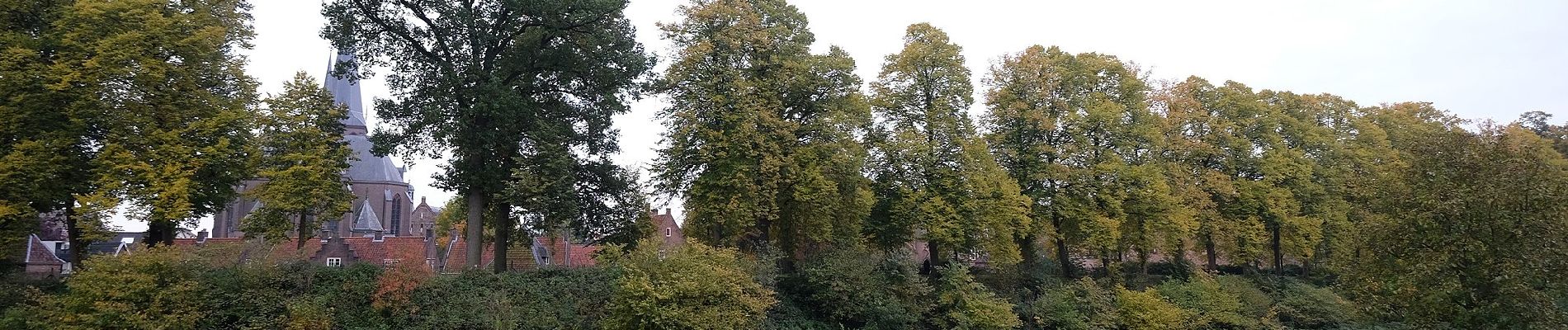 Trail On foot Montferland - Galgenberg route - Photo