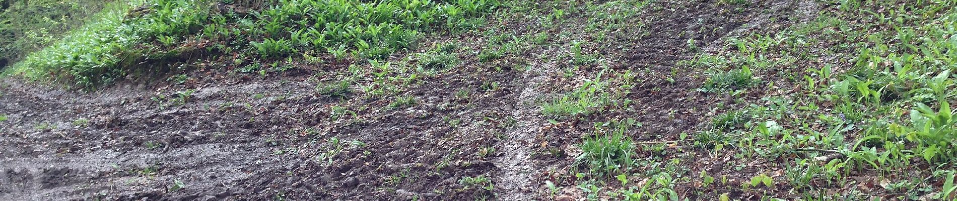 Tocht Te voet Lennestadt - Grevenbrück Rundweg A18 - Photo