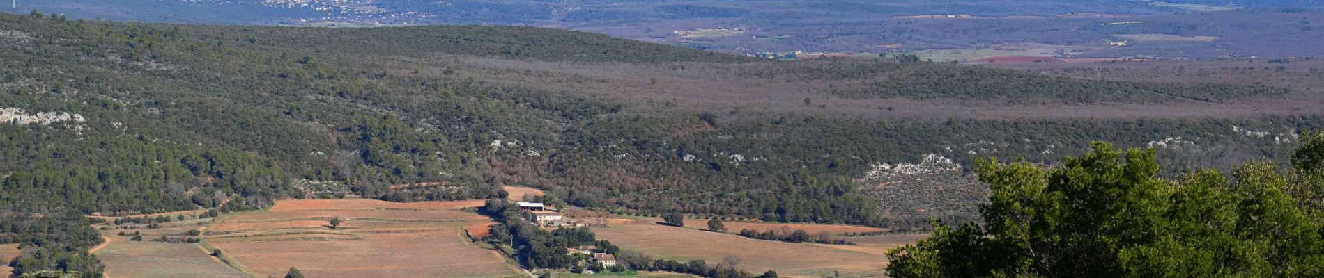 Randonnée Marche Esparron - Montagne d’Artigues , traversée intégrale par la crête - Photo