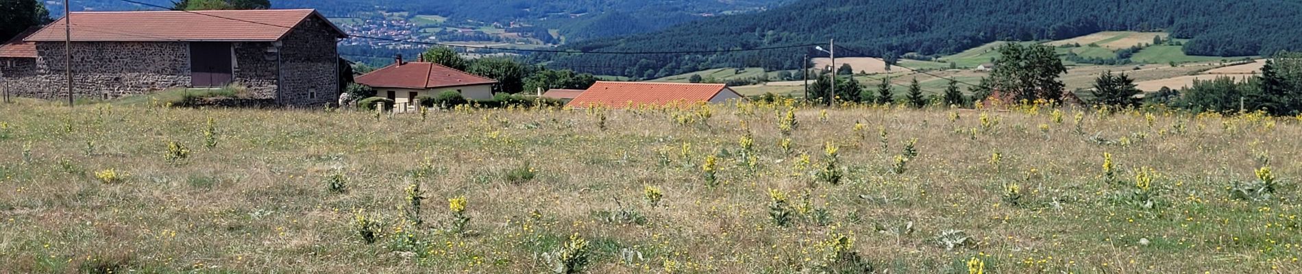 Tocht Elektrische fiets Le Puy-en-Velay - **** 140723 - Photo