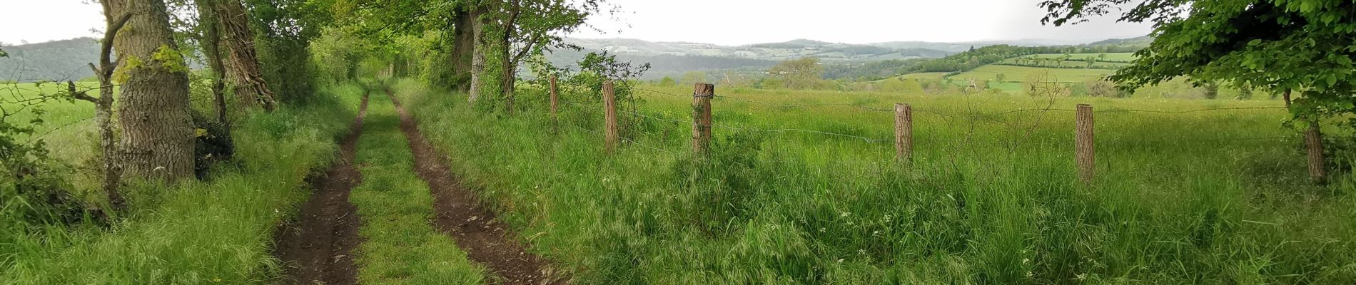 Tocht Stappen Saint-Rémy - Suisse_Normande_#J2_Le_Pont_de_la_Mousse_-_Pont_d'Ouilly - Photo