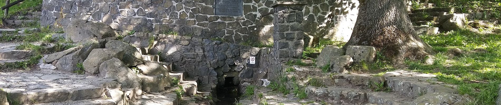 Tour Zu Fuß Gersfeld - Rotes Moor Rundweg 4 - Photo