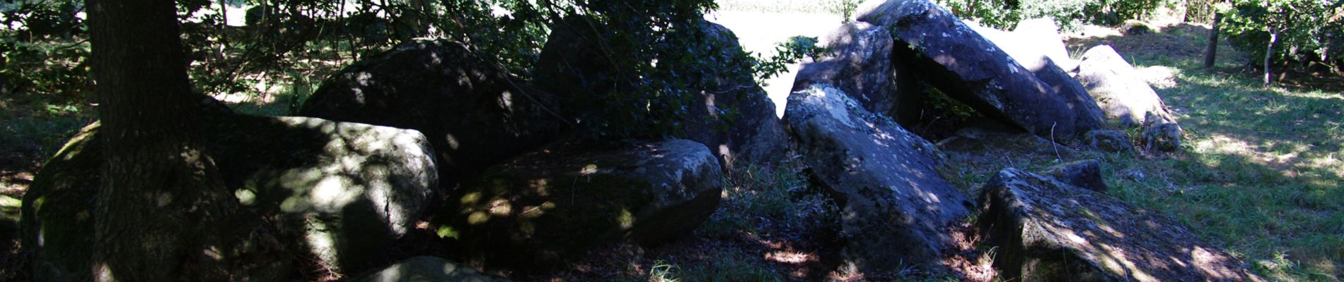 Excursión A pie Soisy-sur-École - Boucle de Bauveais - Photo