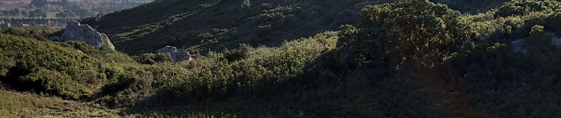 Tour Wandern Lançon-Provence - Lancon de provence - Photo