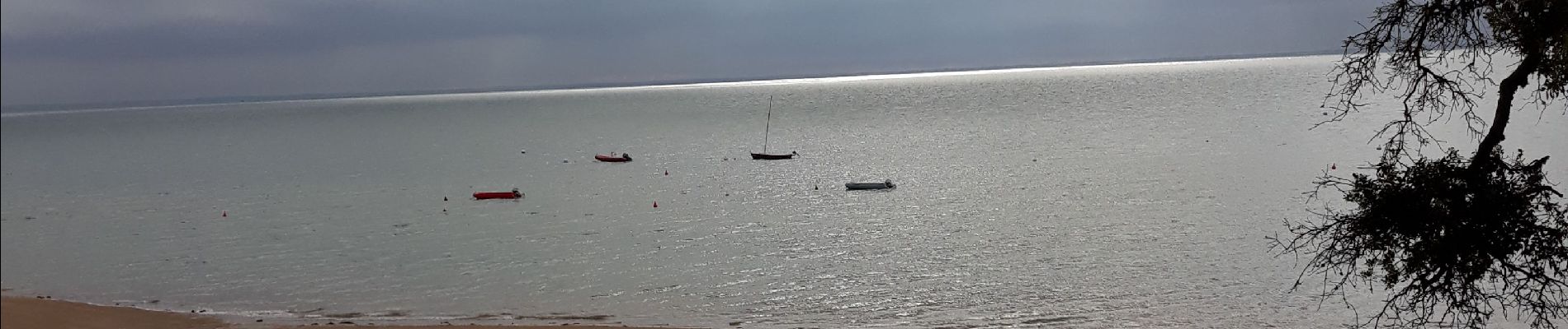 Tocht Stappen Noirmoutier-en-l'Île - Noirmoutier 12 juin 2019 - Photo