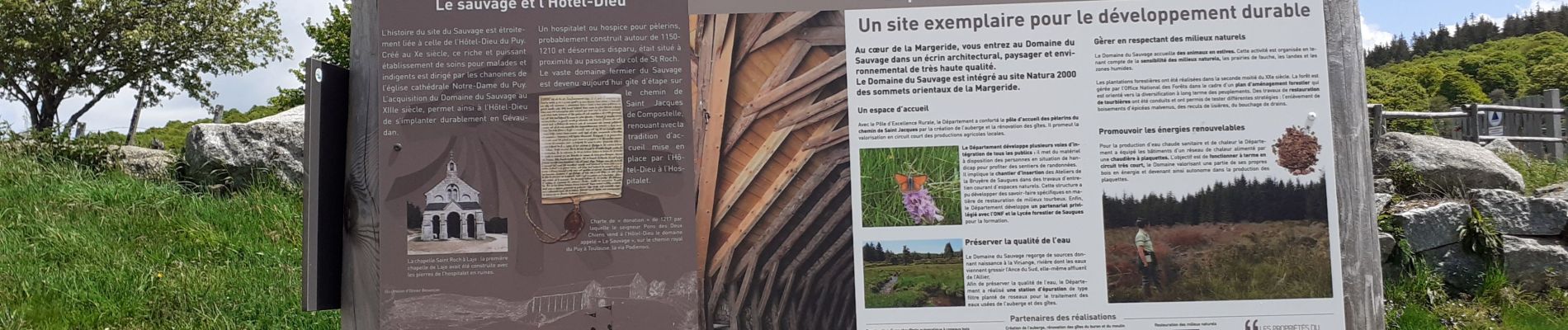 Randonnée Marche Saugues - chanaleilles le sauvage - Photo