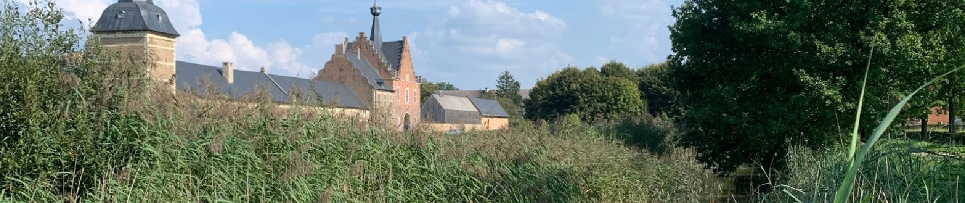 Excursión Senderismo Hasselt - De Wijers: Herkenrode - startplaats Abdijsite (geel) - Photo