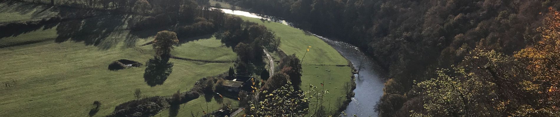 Randonnée Marche Esneux - 20191110 Autour de Beauregard  - Photo