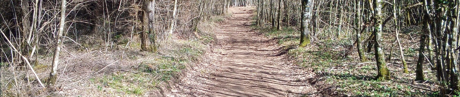 Randonnée Marche Naisey-les-Granges - NAISEY LES GRANGES - Photo