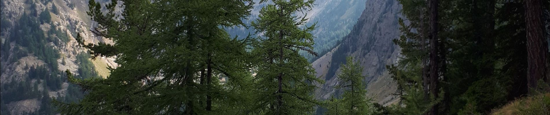 Randonnée Marche Saint-Martin-Vésubie - Cime de Piagu. Boreon - Photo