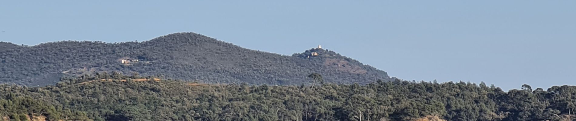 Tocht Stappen La Londe-les-Maures - La Londe - L'argentiere vers le Pellegrin - Photo