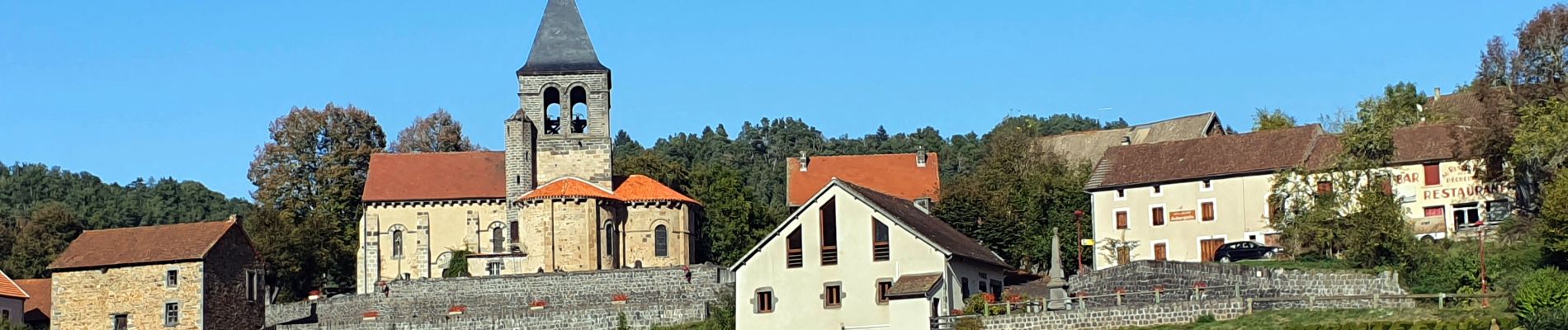 Trail Walking Montfermy - Montfermy_Foret_Chartreuse - Photo