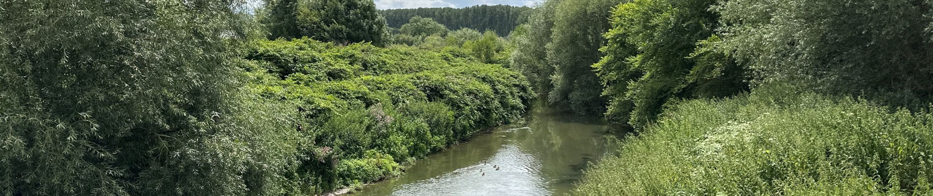 Randonnée Marche Drogenbos - Drogenbos Beersel 8,4 km - Photo