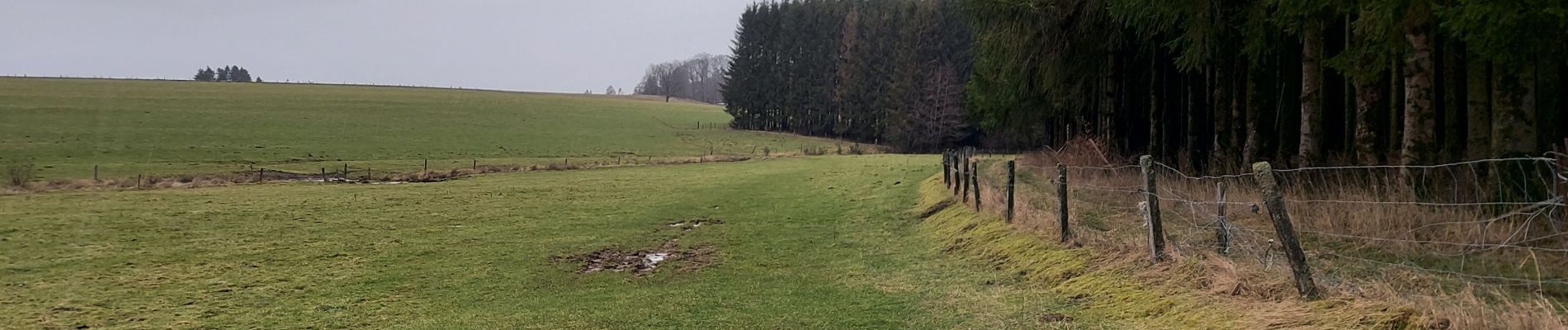 Randonnée Marche Libramont-Chevigny - Laneuville 180221 - Photo