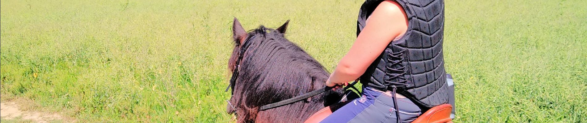 Trail Horseback riding Burthecourt-aux-Chênes - vermois1 - Photo