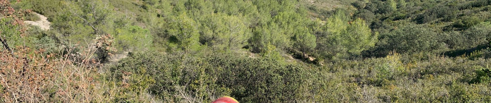 Tocht Mountainbike Nîmes - Clos Gaillard Jaune - Photo