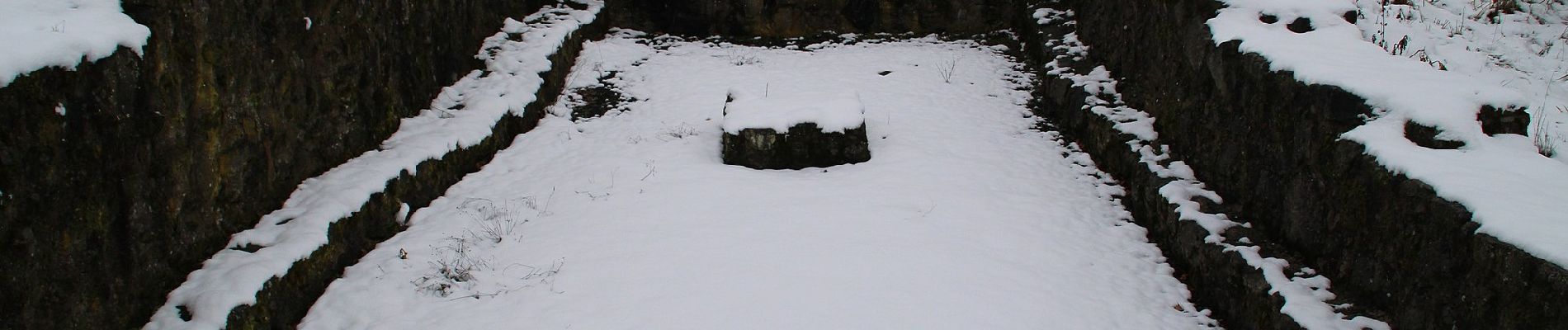 Percorso A piedi Ebsdorfergrund - Ebsdorfergrund-Weg - Photo