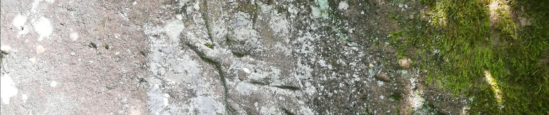 Randonnée Marche Mollkirch - le sentier des demoiselles de pierre - Photo