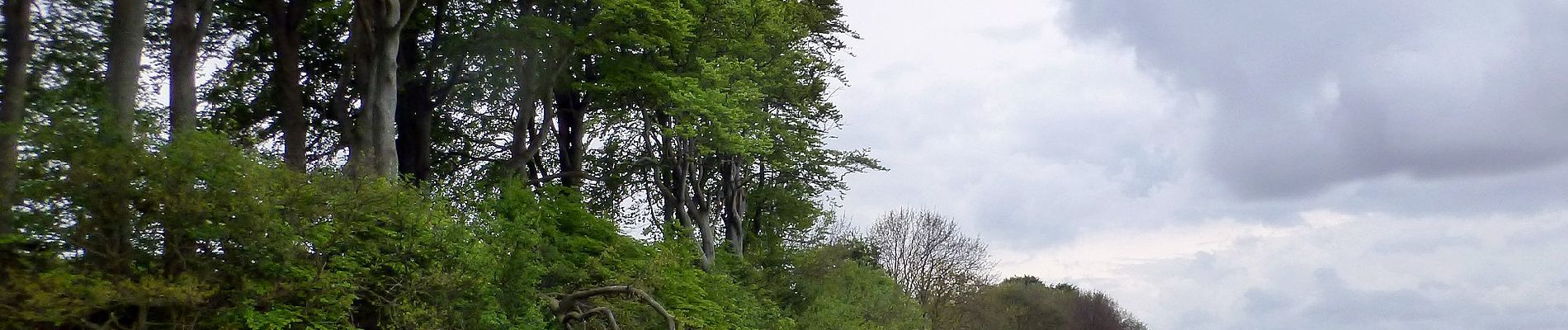 Tour Zu Fuß Unknown - Fredericia til Trelde Næs - Photo