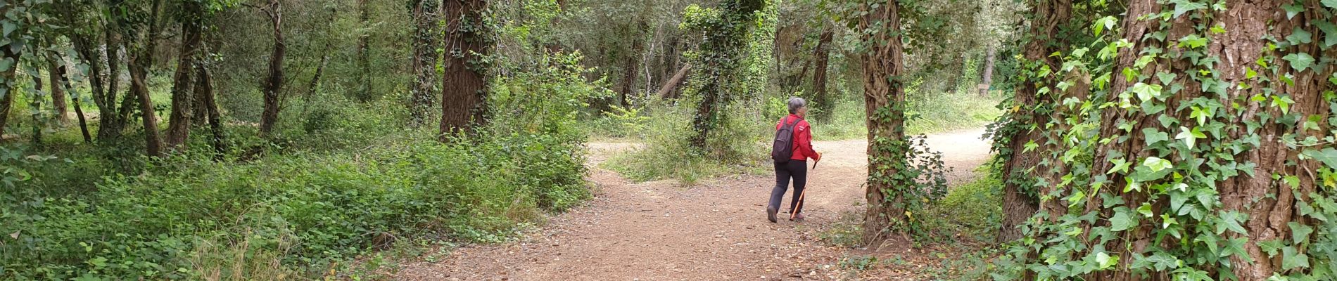 Tocht Stappen Valbonne - sophia aqueduc 1 - Photo