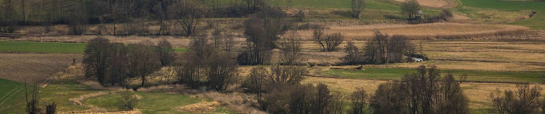 Tocht Te voet Peuerbach - Panoramaweg Süd - Photo