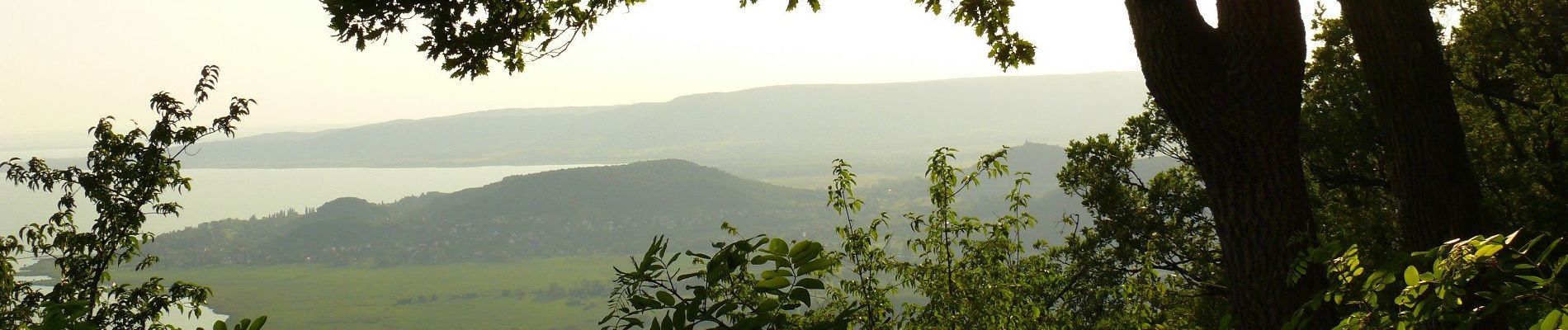 Tocht Te voet Badacsonytomaj - Kuruc-körút tanösvény - Photo