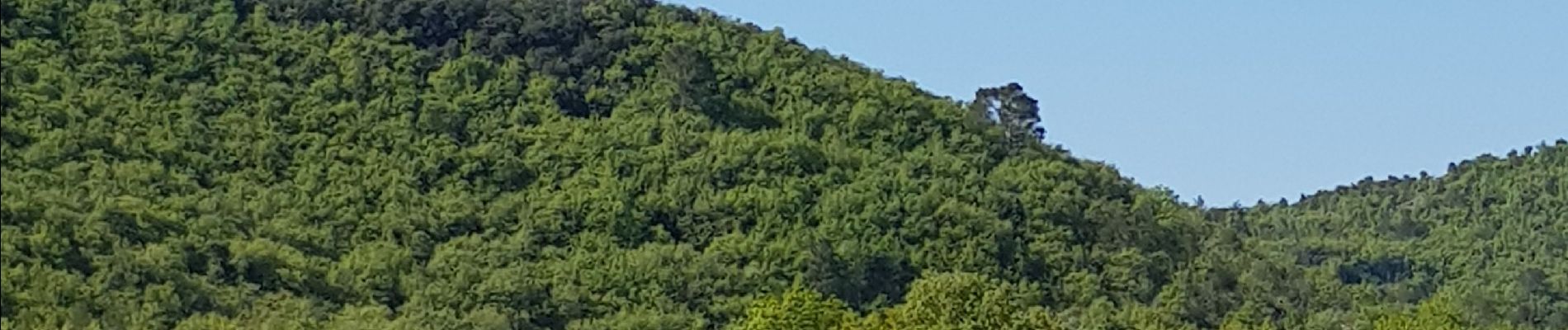 Randonnée Marche Gréoux-les-Bains - Gréoux, le Colostre et le Verdon. - Photo