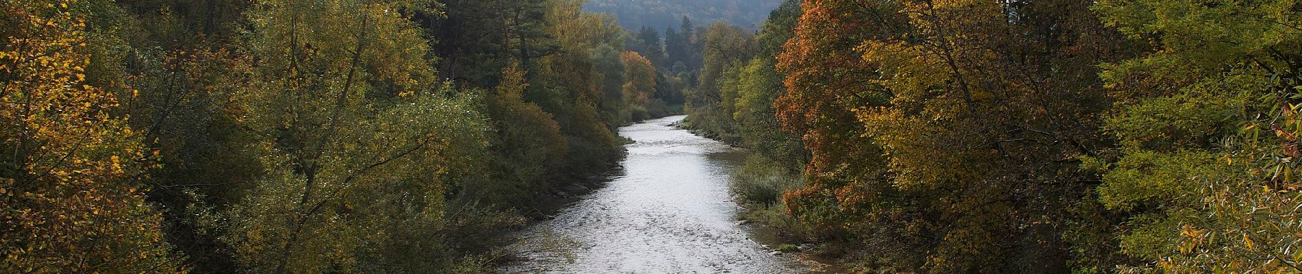 Percorso A piedi Neftenbach - Neftenbach - Desibach - Photo