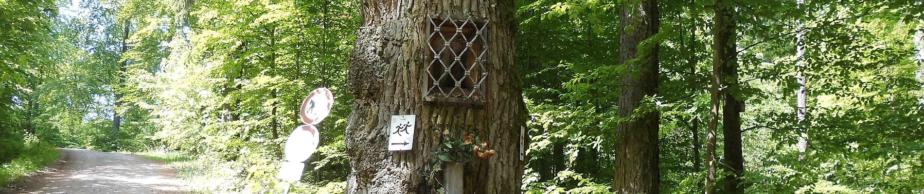 Trail On foot Goldbach - Roter Hase, Rundwanderweg Glattbach (Waldspielplatz) - Photo