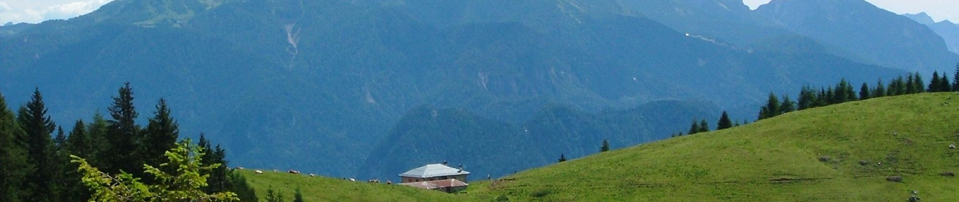 Tour Zu Fuß Domegge di Cadore - Sentiero del Pastore - Photo