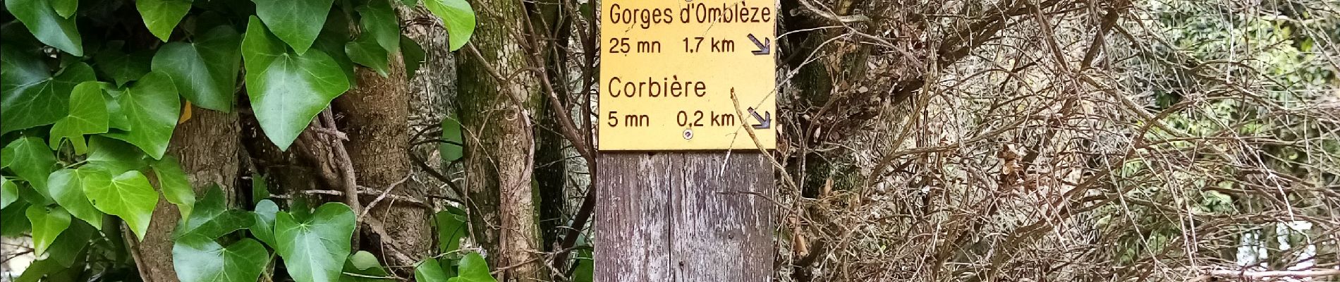 Tocht Stappen Plan-de-Baix - Canyon du Gueulards- Ombleze - Photo