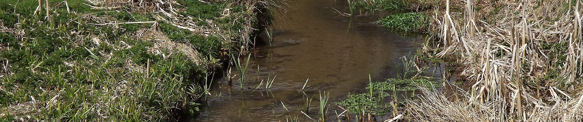 Randonnée A pied Guildford - Tillingbourne at work (long) (SCC) - Photo