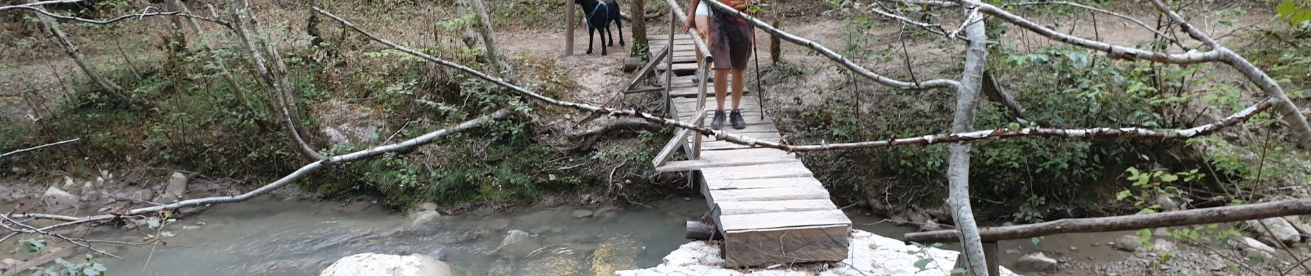 Trail Walking Estoublon - gorges de Trévans 6 septembre 2020 - Photo