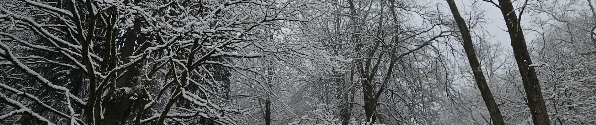 Percorso Marcia Aquisgrana - Aachenerwald ❄️⛄️ - Photo