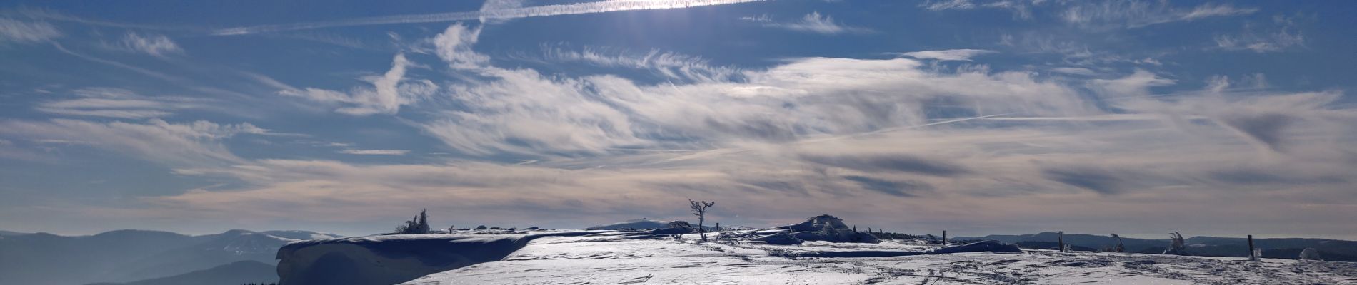 Percorso Marcia Le Bonhomme - 2019-01-19 Marche Neige Gazon du Faing - Photo