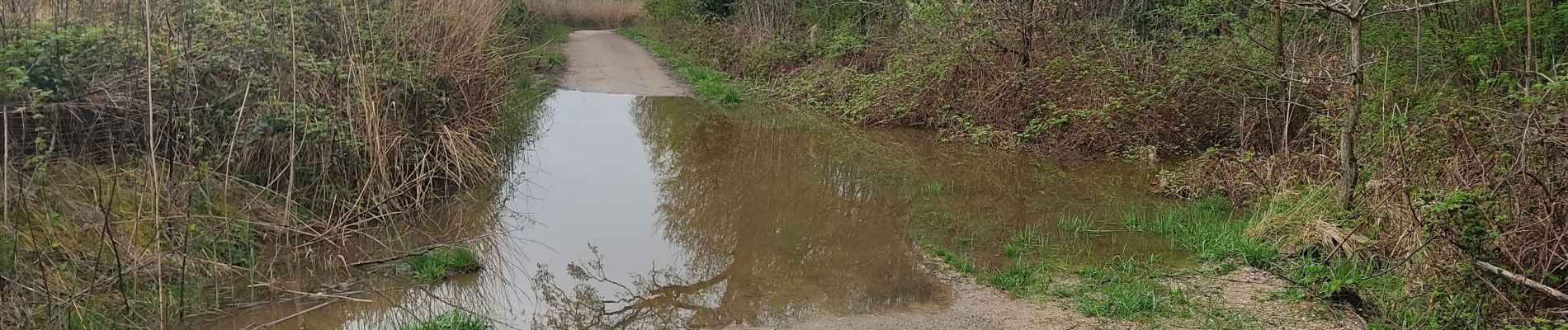 Randonnée Marche Vélizy-Villacoublay - Les forêts de Meudon et Versailles  - Photo