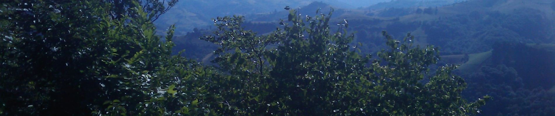 Excursión A pie Codlea - Codlea - Cetatea Neagră - Photo