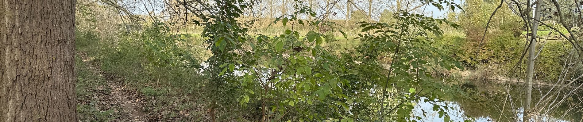 Randonnée Marche Beveren - Verreboek 20 km - Photo