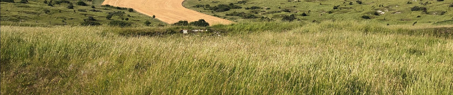 Tour Wandern Sangatte - Cap Blanc nez (côte opale) 7km - Photo