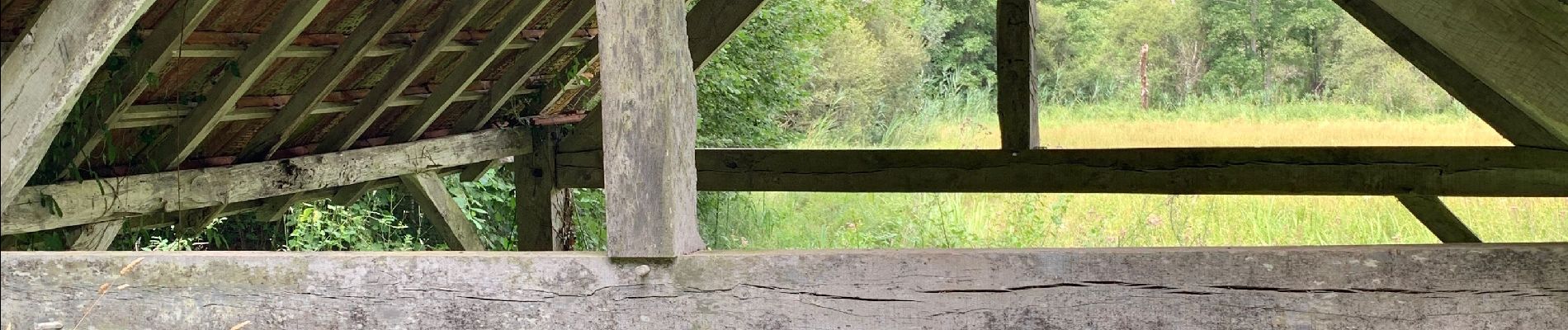 Trail Walking Les Eyzies - Sireuil Colmar que - Photo