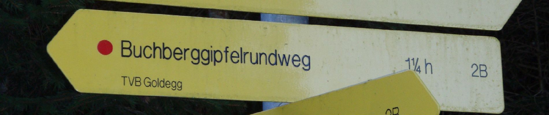 Percorso A piedi Goldegg - Buchberg-Gipfelrundweg - Photo