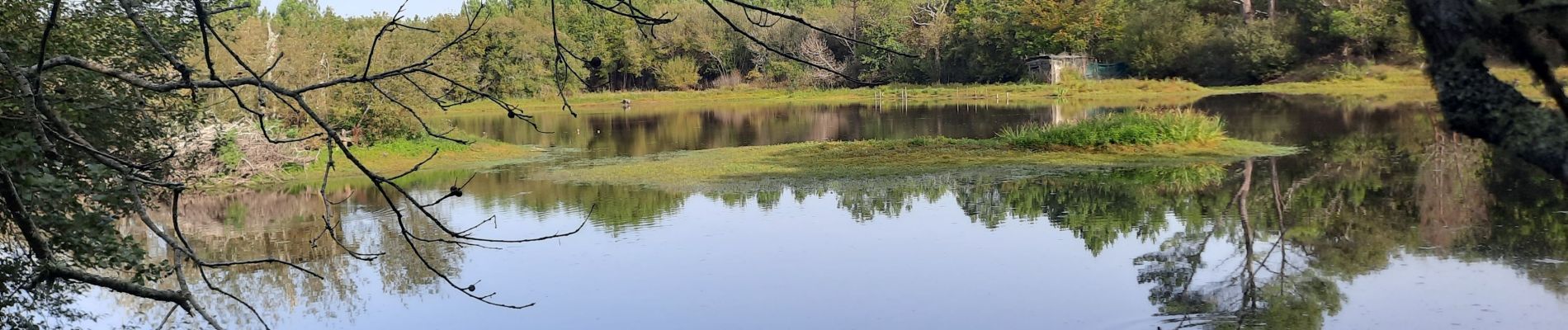 Randonnée Marche Seignosse - Belleherbe en boucle depuis le Pénon - Photo