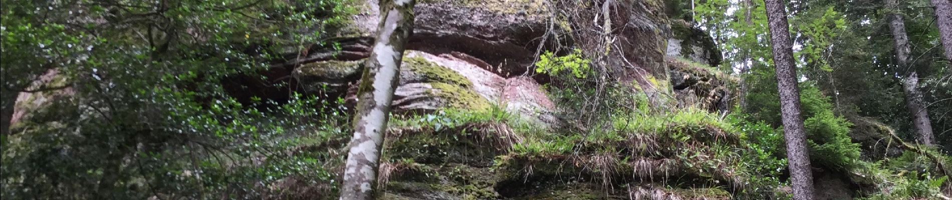 Tocht Stappen Breitenau - Fouchy  - Photo