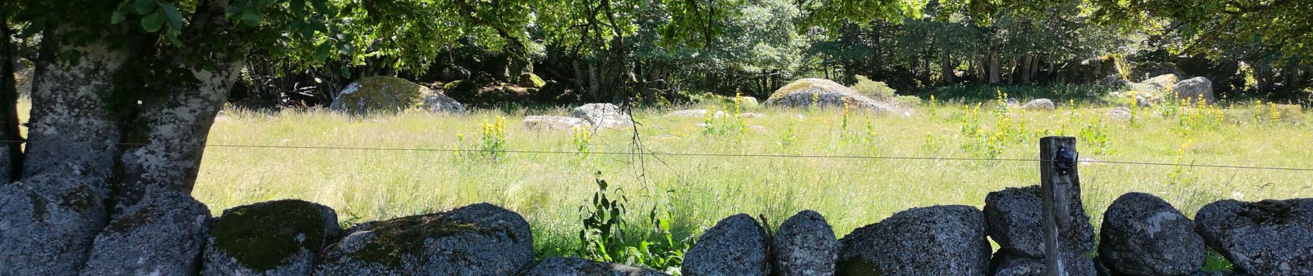 Tocht Stappen Saint-Laurent-de-Muret - Le truc de Crouzet - Photo