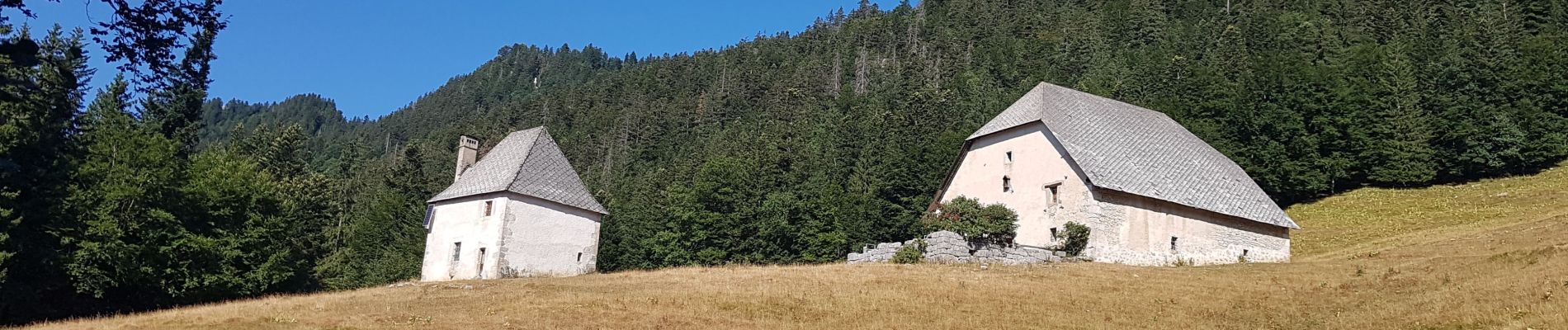 Randonnée Marche Saint-Pierre-de-Chartreuse - Le Tour des Haberts de Chartreuse (2022) - Photo