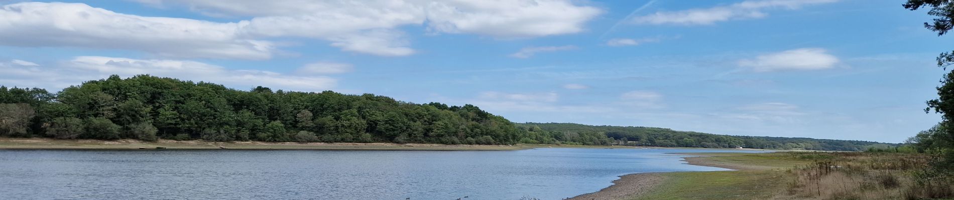 Trail Walking Joué-sur-Erdre - Tour du lac de Vioreau - Photo