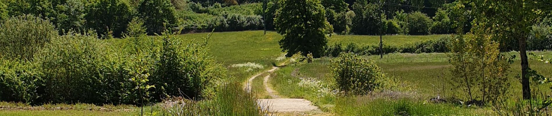 Tocht Stappen Faycelles - Faycelles StEulalie J1+ - Photo