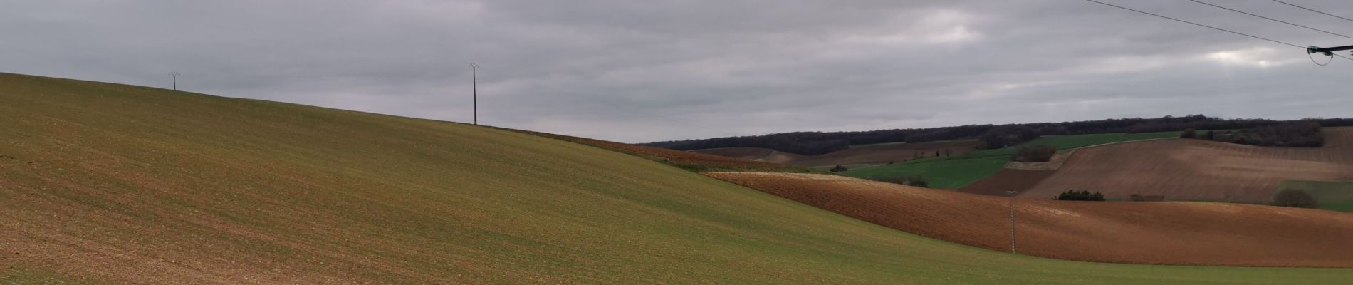 Trail Walking Prugny - Prugny - Photo