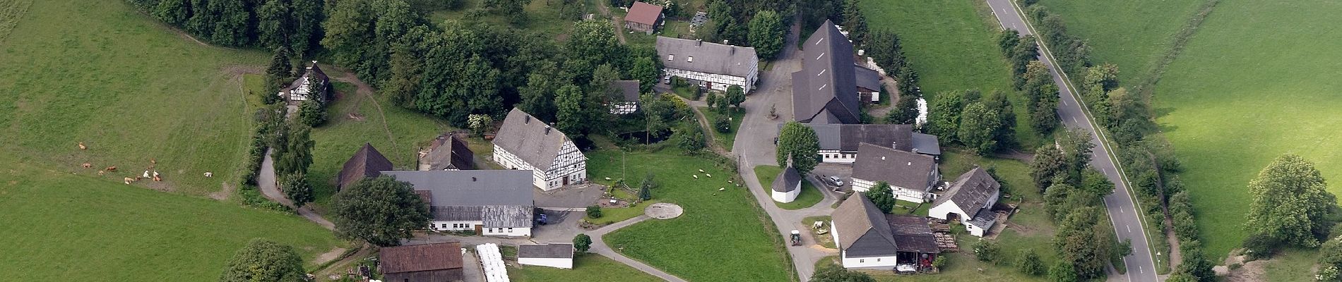 Percorso A piedi Schmallenberg - Grafschaft Rundweg G4 - Photo